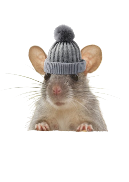 mouzi